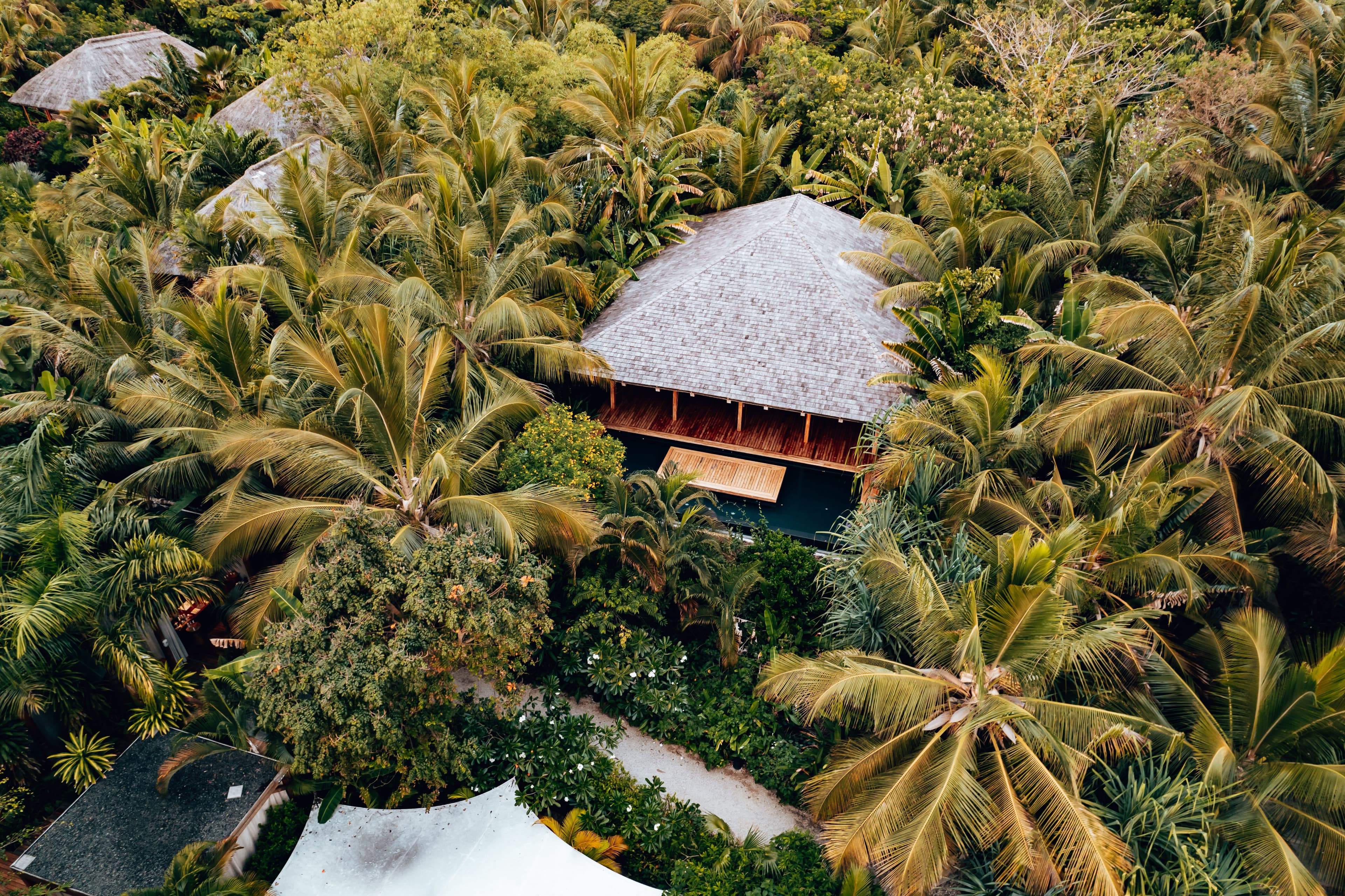 Aerial view of a thatched-roof resort villa nestled among lush tropical palms